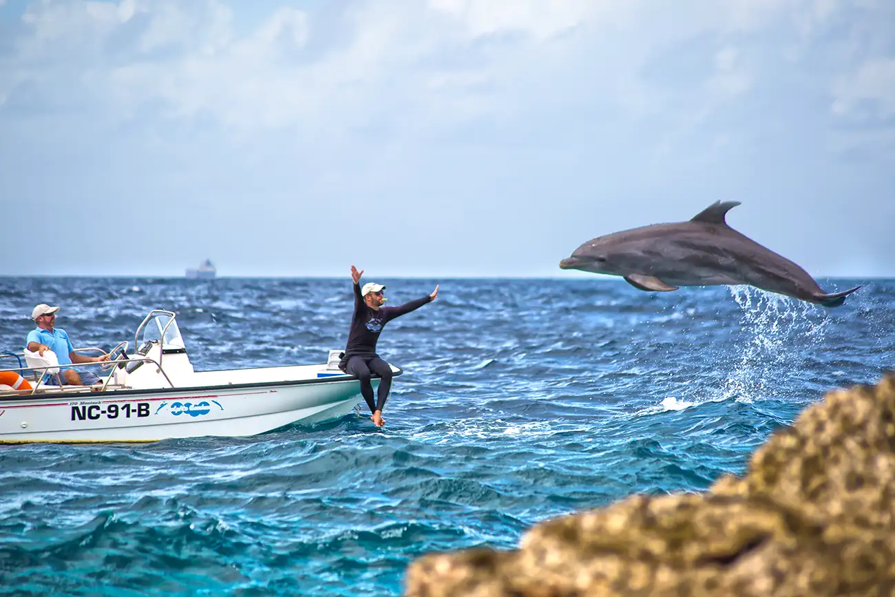 Curacao Dolphin Academy