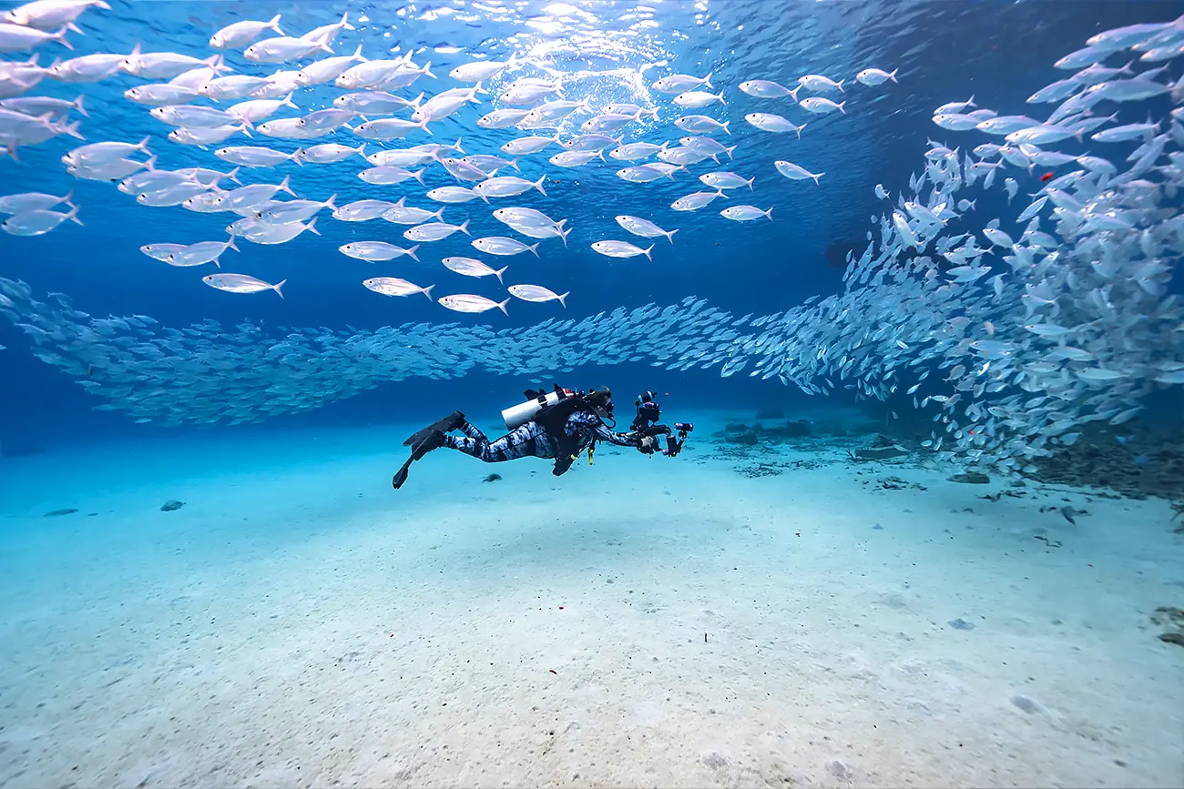 Water Sports in Curacao