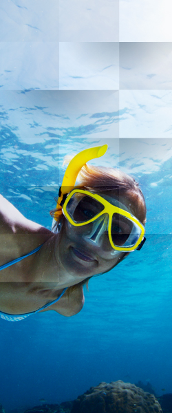 The Royal Sea Aquarium Resort Accommodations