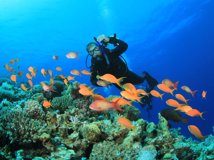 Underwater activities curacao